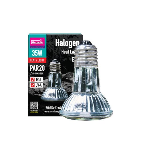 Single Pack Halogen Flood Lamp